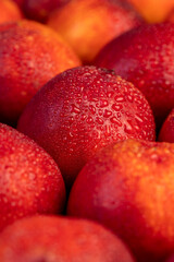 ripe wet red nectarines folded together