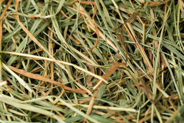 Dehydrated Dried Grass for hay production in agriculture