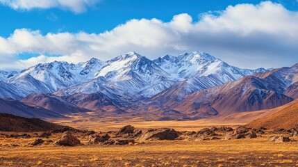 Snow-capped Mountains and Rocky Outcroppings in a Vast Landscape