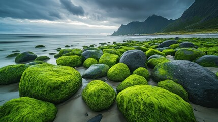 Moss-Covered Boulders on a Beach with Mountain Range and a Stormy Sky