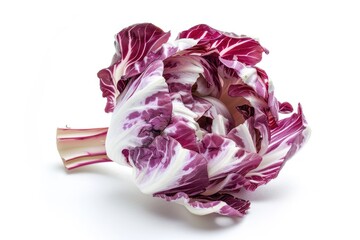 Obraz premium Red and White Radicchio.