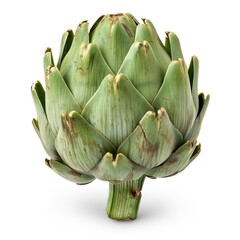 Fototapeta premium Green Artichoke.