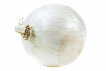 White Onion Isolated on White Background.