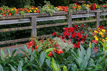 das Dorf Gemen im Münsterland