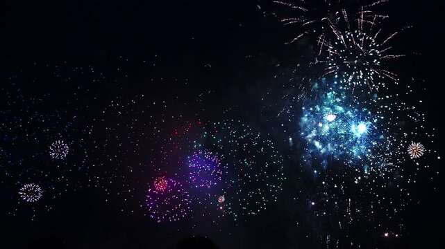 [納涼花火大会] いたばし花火大会