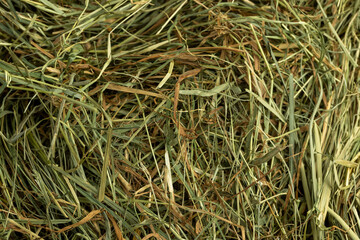 Dehydrated Dried Grass for hay production in agriculture