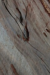 Brown and gray wood surface background with a fault line in the middle