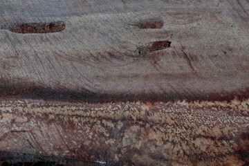 Background of Brown and grey wood surface 