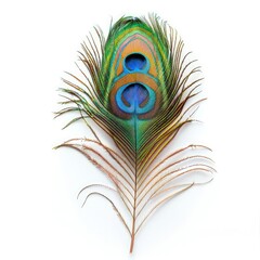Obraz premium Elegant Peacock Feather Isolated on a White Background, Showcasing Its Vibrant Colors and Intricate Patterns