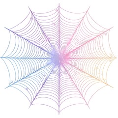 Decorative Spider Web Corner Embellishment on White Background