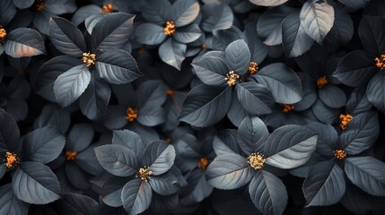 An elegant wallpaper design featuring a black background with a bunch of leaves and flowers