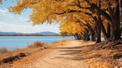 Autumn scenes of trees in yellow hues  