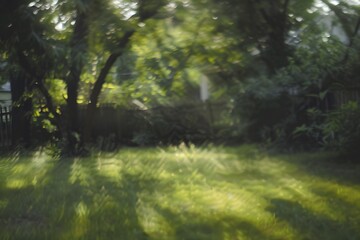 blurred yard background