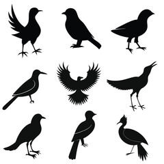 Bird's silhouettes vector illustration on a white background