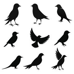Bird's silhouettes vector illustration on a white background