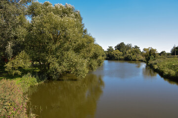 lake in the forest