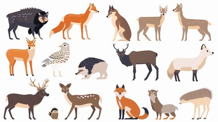 Obraz premium A set of forest animals featuring wild mammals of the woodland, including a fox, wolf, bison, elk, and deer. The collection also includes various woodland inhabitants such as birds, beasts, an owl