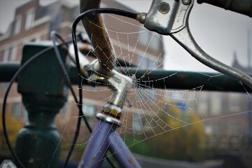 Obraz premium Raindrops Webbed Bike 