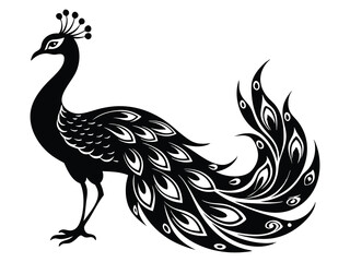 Peacock Birds silhouette vector illustration on white background