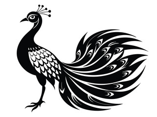 Peacock Birds silhouette vector illustration on white background