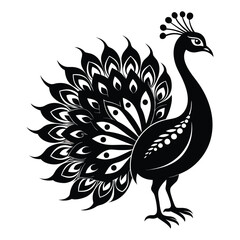 Peacock Birds silhouette vector illustration on white background