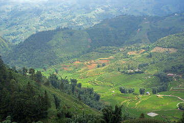 Vallées fertiles région de Sapa, Vietnam