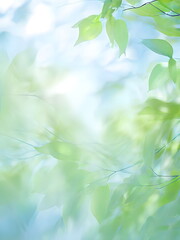 blue sky through green leaves of trees