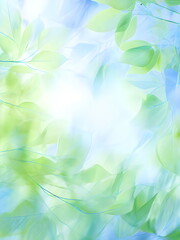blue sky through green leaves of trees