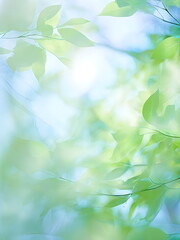 blue sky through green leaves of trees