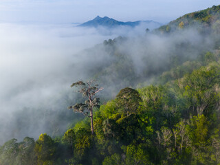 Aerial scenery of a sea of clouds over the mountains in Yala Province, Thailand