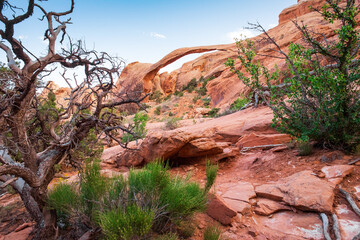 Majestic Landscape Arch in Arches National Park