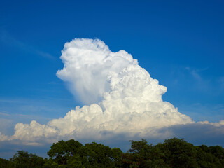 夏の青空と発生中の積乱雲の風景
