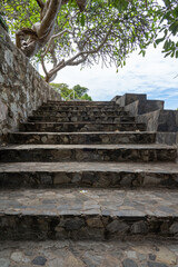 A staircase with stone steps running along a stone wall in the shade of a branchy tropical tree.