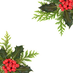 Christmas holly red berry and cedar fir background border on white. Traditional natural nature...