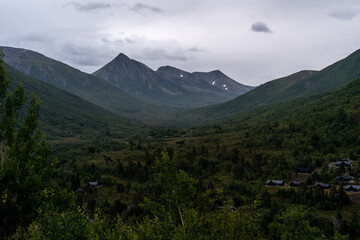 Fototapeta premium trail in Andalsnes Isfjorden fjord in Norway in the woods on summer evening