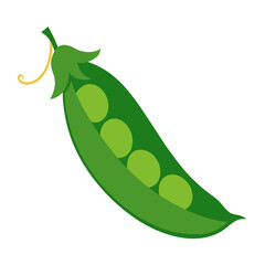 Peas art vector illustration