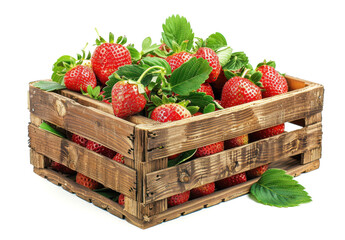 Strawberries and Leaves in Wooden Box, Isolated on White Backgro