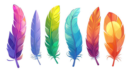 colorful bird feathers