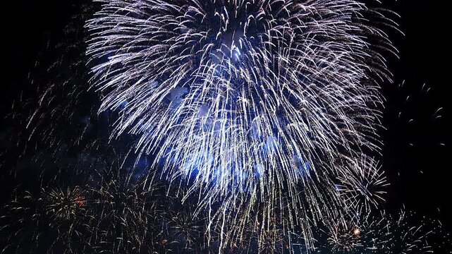[納涼花火大会] いたばし花火大会