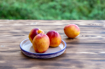 Smooth peaches or nectarines on a plate.