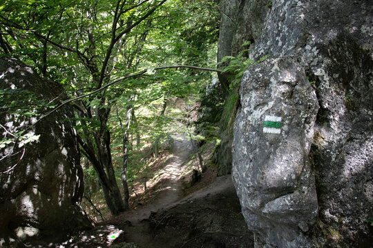 The green trail marking on the stone to match the difficulty of the hiking and cycling trail.