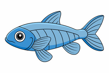Create a fish Danio  art vector illustration