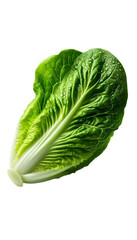 Fototapeta premium Cabbage isolated on transparent background 