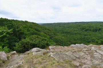 Das Stenshuvud Plateau ist in der Nähe der Ostsee in Kivik in Schonen. Von dort gibt es eine schöne Aussicht auf den Wald darunter.