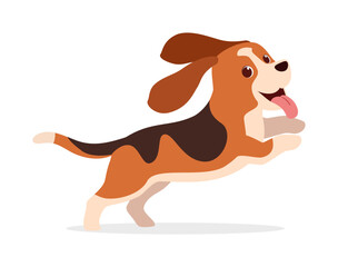 happy cute basset hound dog with good quality and design