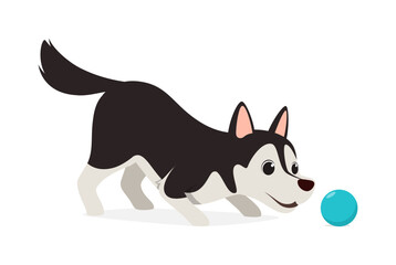 happy cute siberian husky dog with good quality and design