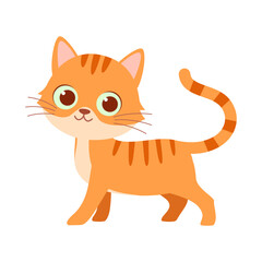 cute little cat with good quality and design