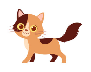 cute little cat with good quality and design