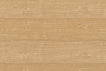 Realistic Oak Wood Textures - Perfect for Natural and Rustic Design Projects with High Detail