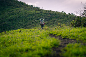 A porter with traditional backpack is walking in the forest in the northern of Thailand (Tak...